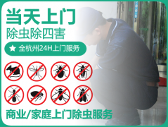 「杭州灭鼠公司」告诉您药物灭鼠有哪些要点