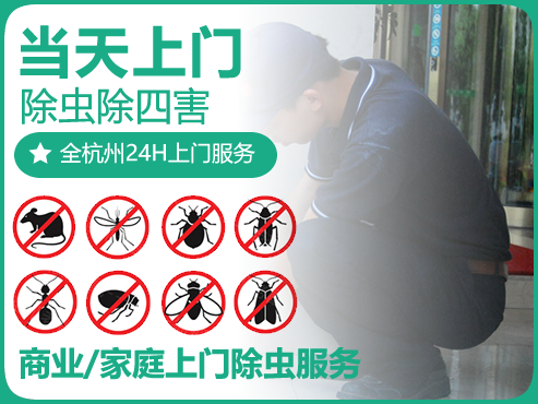 杭州灭鼠公司