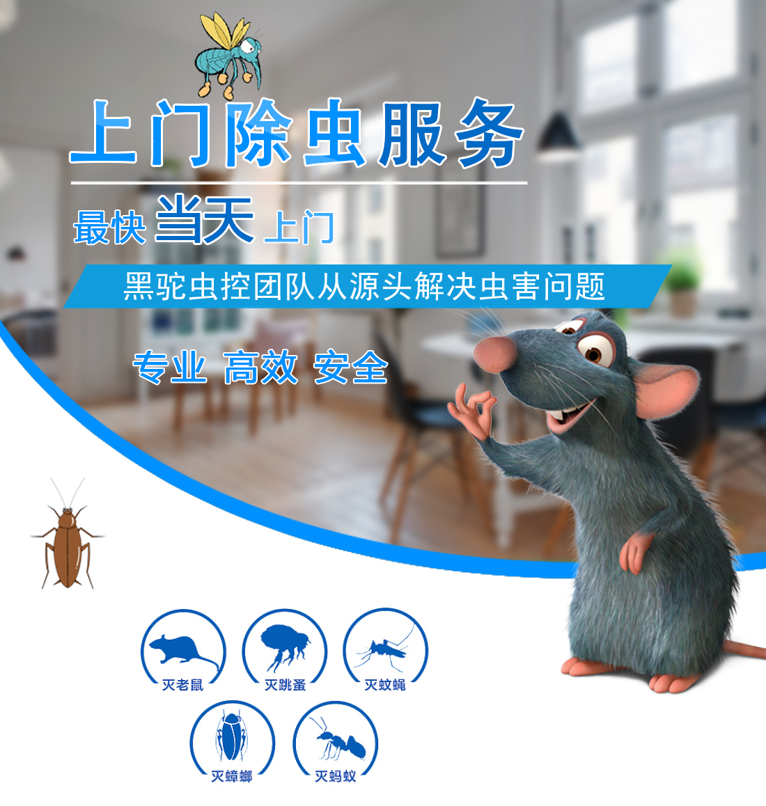 杭州灭鼠公司