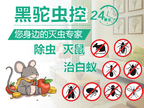 杭州灭鼠公司：关于食品