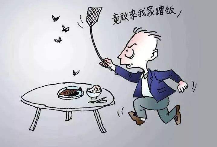 冬天的时候都苍蝇去那了？