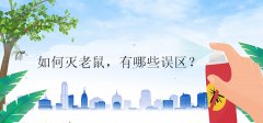 如何灭老鼠，有哪些误区？