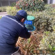 灭鼠又快又有效的方法